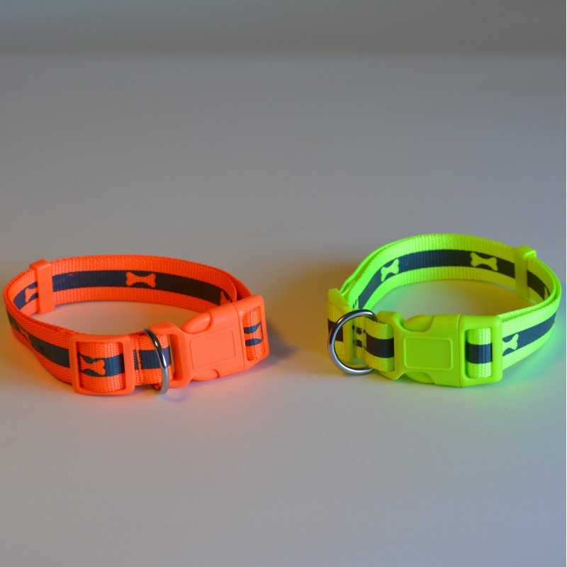 Neon collar Pro Agility Dog