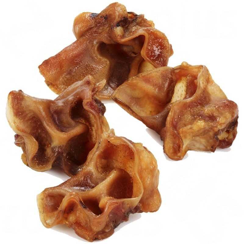 pig-inner-ears-pro-agility-dog